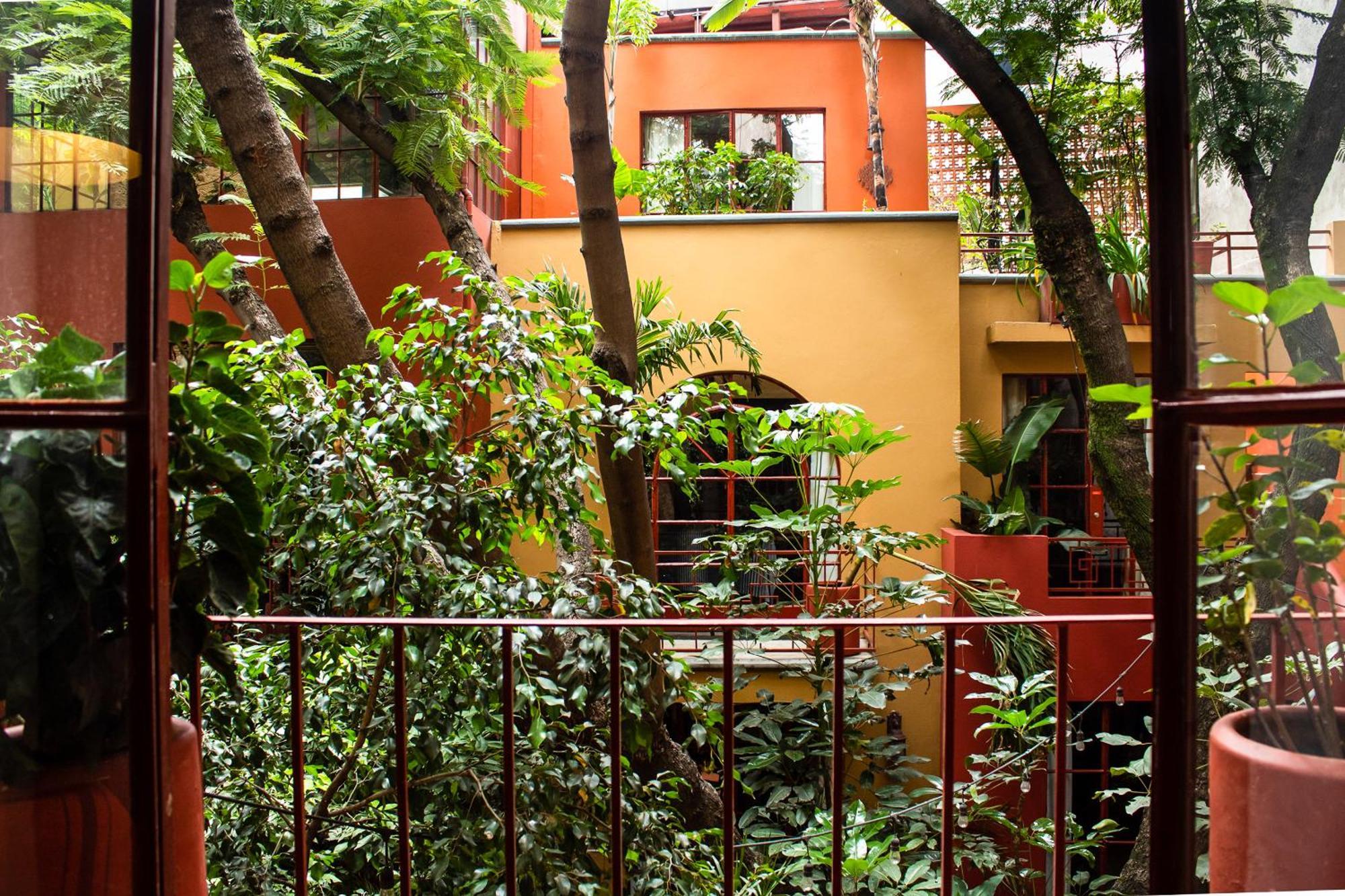 The Red Tree House *